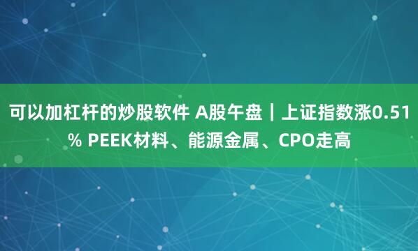 可以加杠杆的炒股软件 A股午盘｜上证指数涨0.51% PEEK材料、能源金属、CPO走高