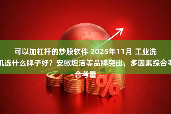 可以加杠杆的炒股软件 2025年11月 工业洗地机选什么牌子好？安徽坦洁等品牌突出，多因素综合考量